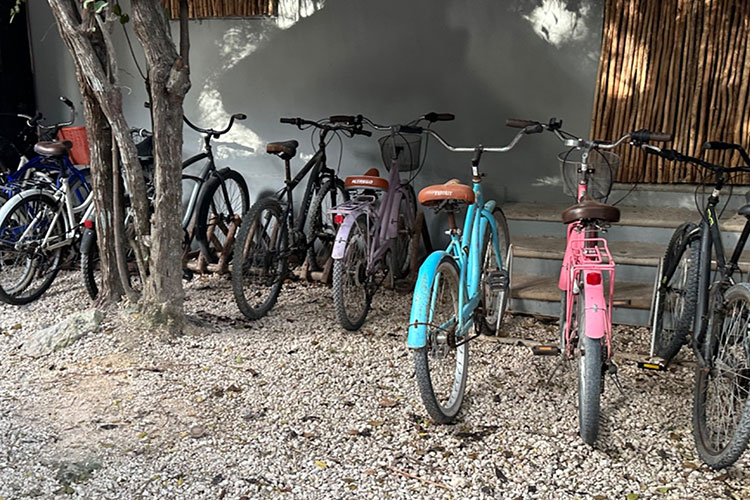 Alquiler bicicletas en Tulum Alquiler bicicletas en Tulum